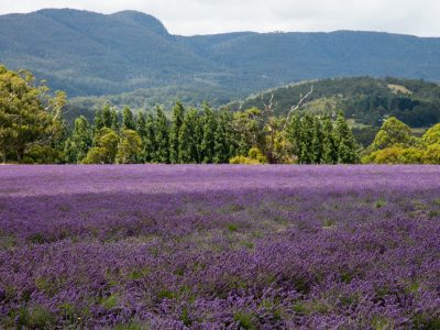 AdobeStock 236298852